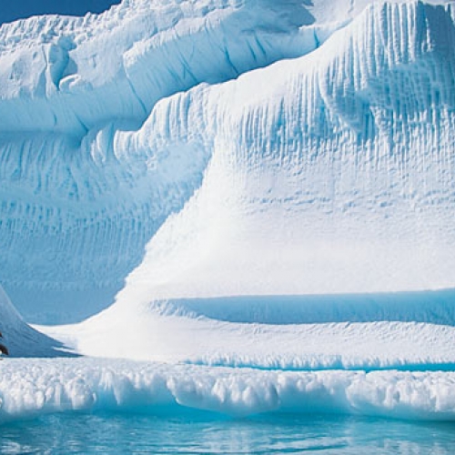 Atlas Ocean Voyages - Antarctica 2022 Savings Atlas Ocean Voyages - Antarctica 2022 Savings
